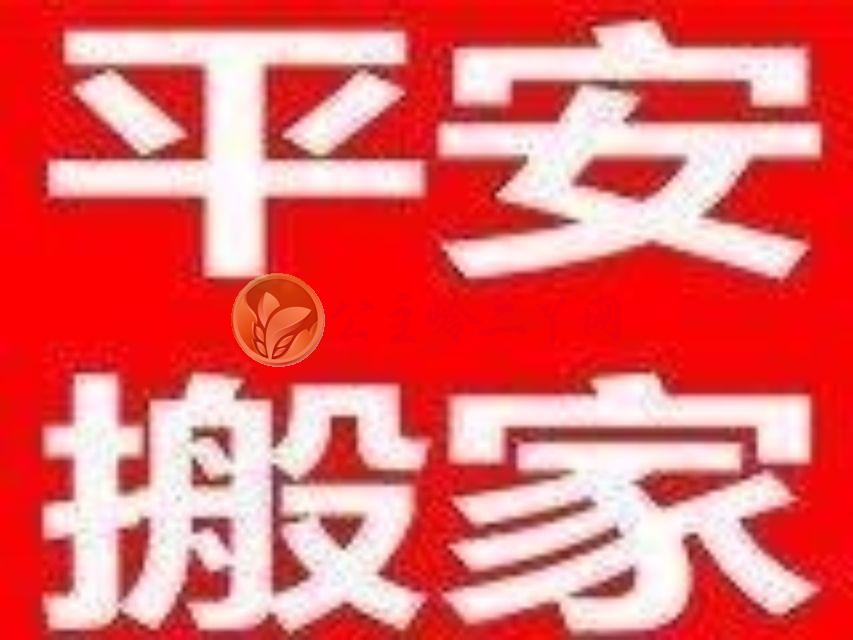 凤凰二号站网址
