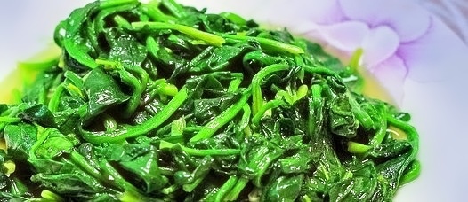 二号站手机版