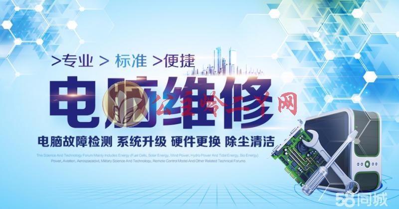 凤凰二号站代理